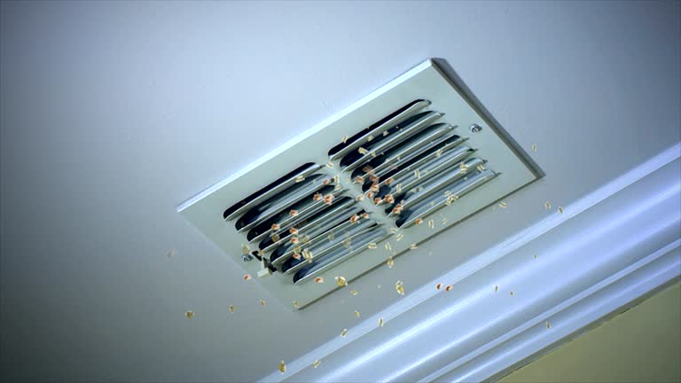 Best Professional Duct Cleaning Services  in Bellmawr, NJ