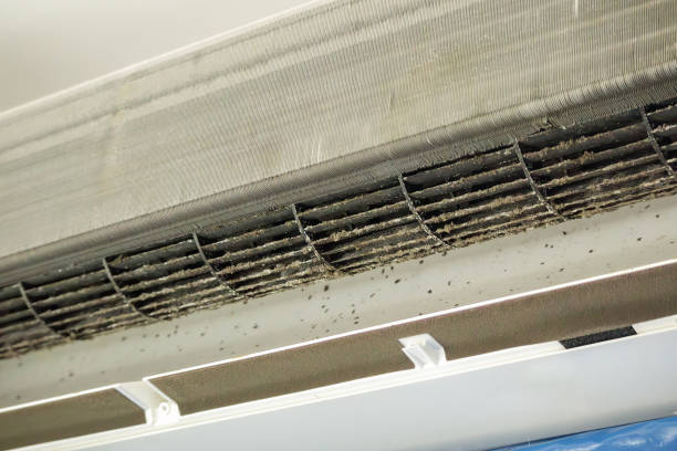 Best Air Duct Cleaning Near Me  in Bellmawr, NJ